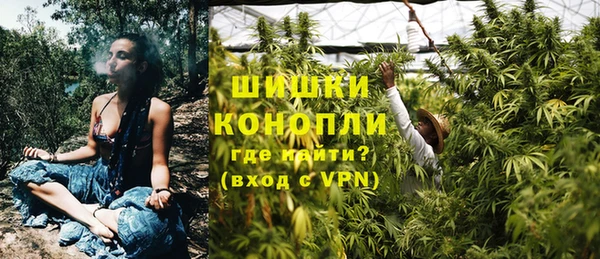 ECSTASY Кукмор